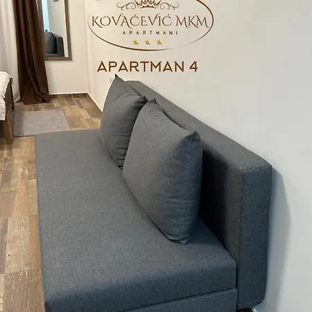 Kovacevic Mkm Banja Vrujci 公寓