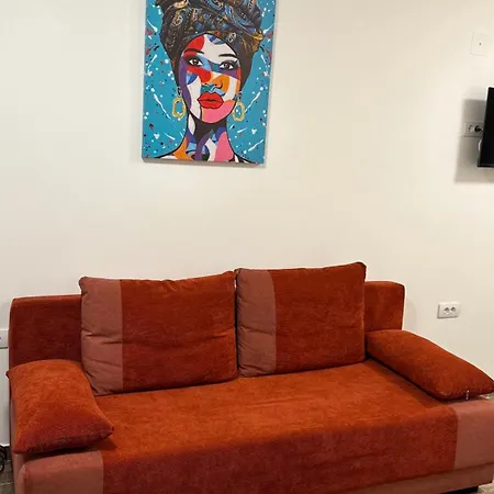 Kovacevic Mkm Banja Vrujci 아파트 *