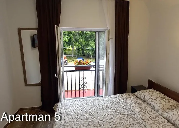 Kovacevic Mkm Banja Vrujci * Gunjica