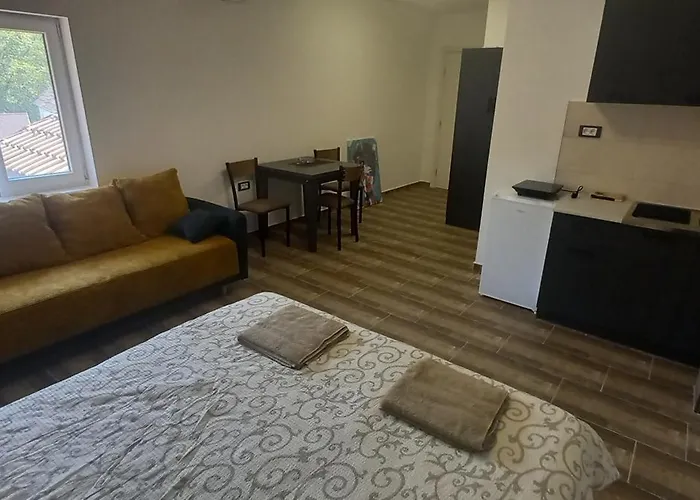 Kovacevic Mkm Banja Vrujci