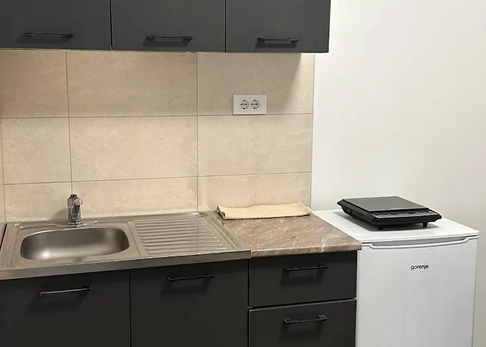 Apartamento Kovacevic Mkm Banja Vrujci Gunjica