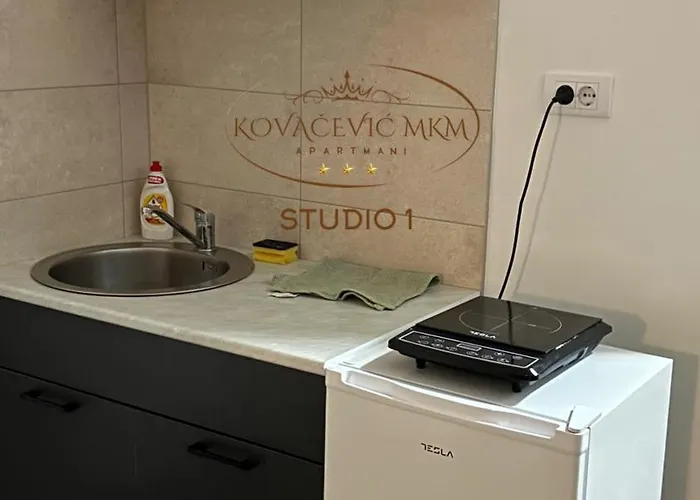 Apartamento Kovacevic Mkm Banja Vrujci *